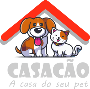 Experetise - Gestão Financeira